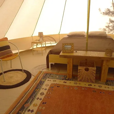 Golden Camp *