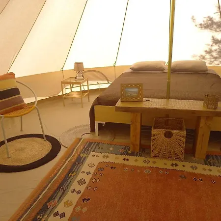 Golden Camp *