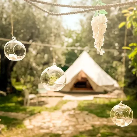Golden Camp