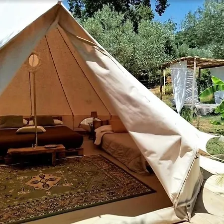 Golden Camp