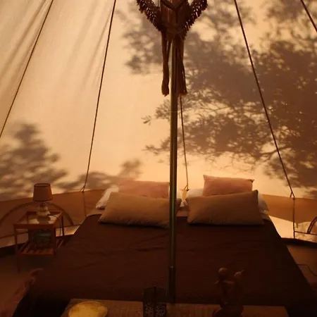Golden Camp *